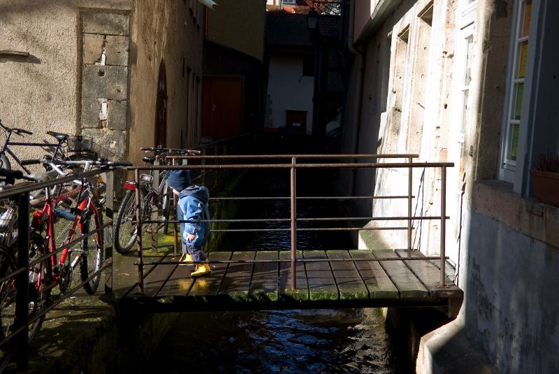 IMGP2186-50