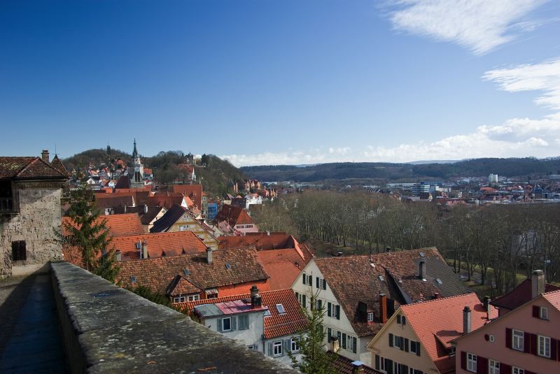 IMGP2208-55