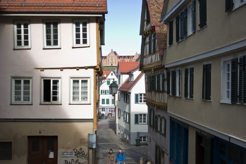 IMGP2219-57