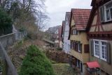 IMGP2138